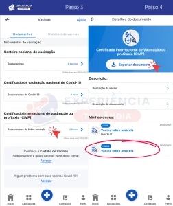 Passo a Passo emissão certificado de vacinação da febre amarela 2025