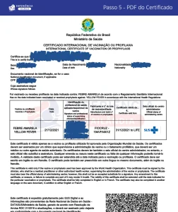 Certificado Internacional de Vacinação contra a Febre Amarela: como emitir em 2025
