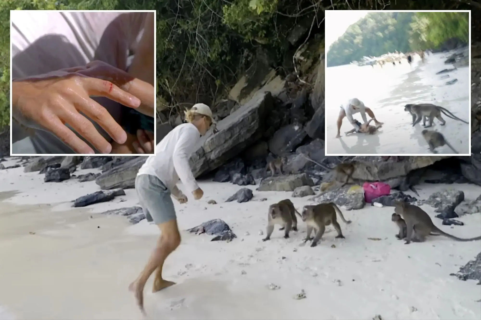Precisa de seguro viagem para Tailândia? Ataque de macaco na Monkey Beach pode gerar gastos médicos altos sem seguro internacional. 