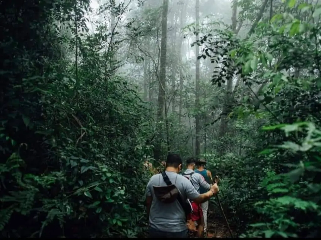 Participe das aventurais mais legais em Chiang Mai. 