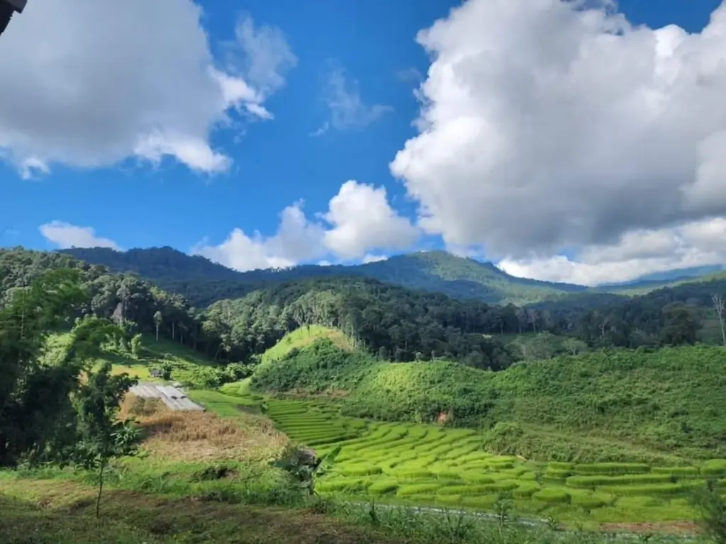 Wat Luang Khun Win, um templo de madeira isolado na floresta de Chiang Mai, Tailândia.