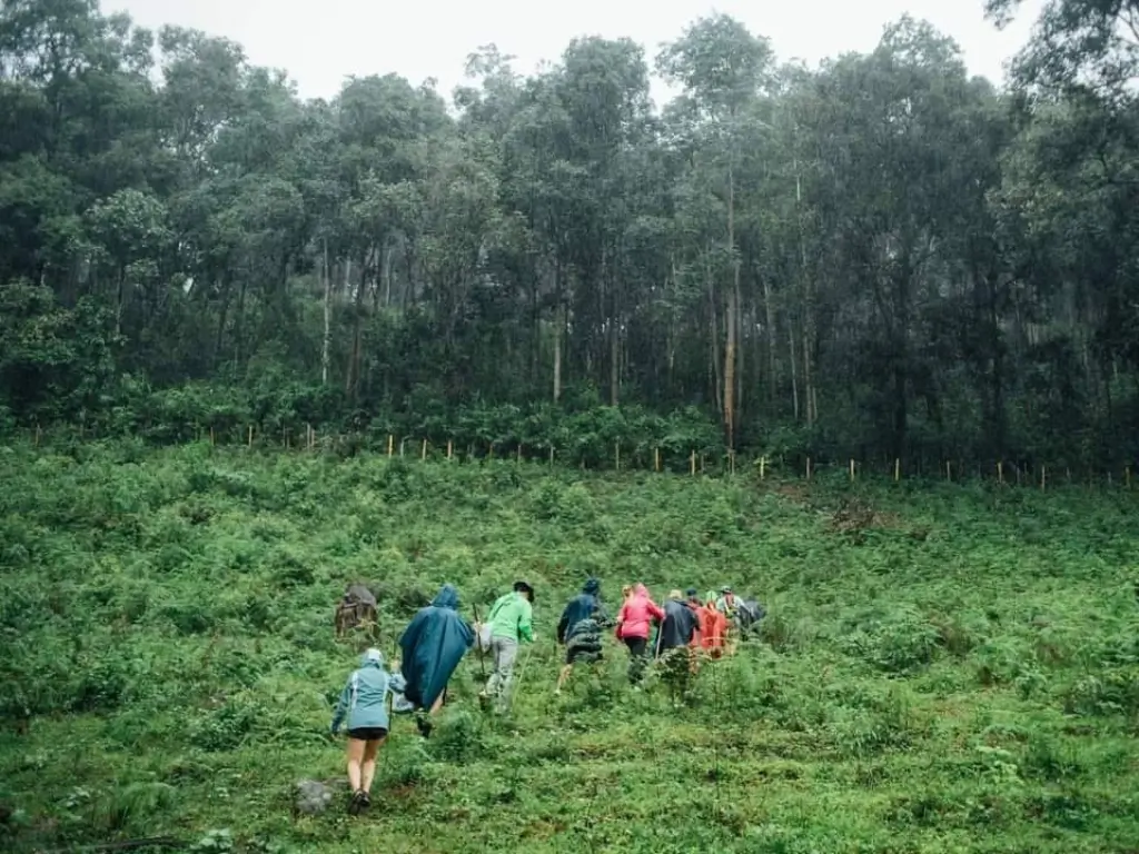 Participe das aventurais mais legais em Chiang Mai.