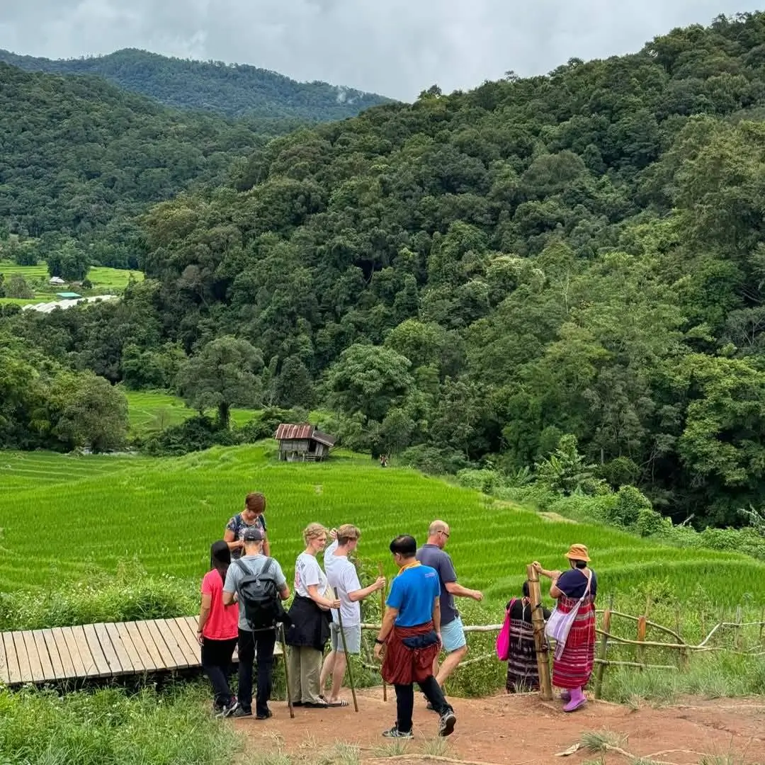 Explora Doi Inthanon en un tour de 1 día con senderos, cascada, arrozales y tribu Karen, saliendo desde Chiang Mai.