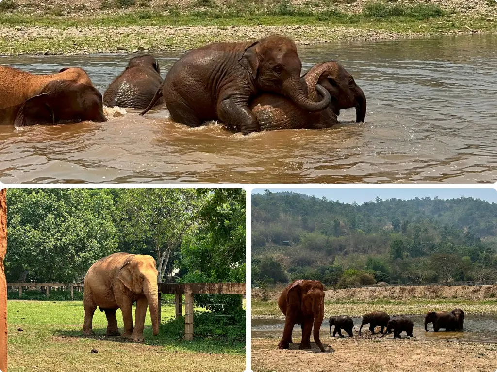 Pacote Tailândia 2026