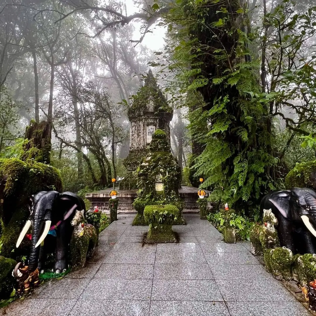 Explora Doi Inthanon en un tour de 1 día con senderos, cascada, arrozales y tribu Karen, saliendo desde Chiang Mai.