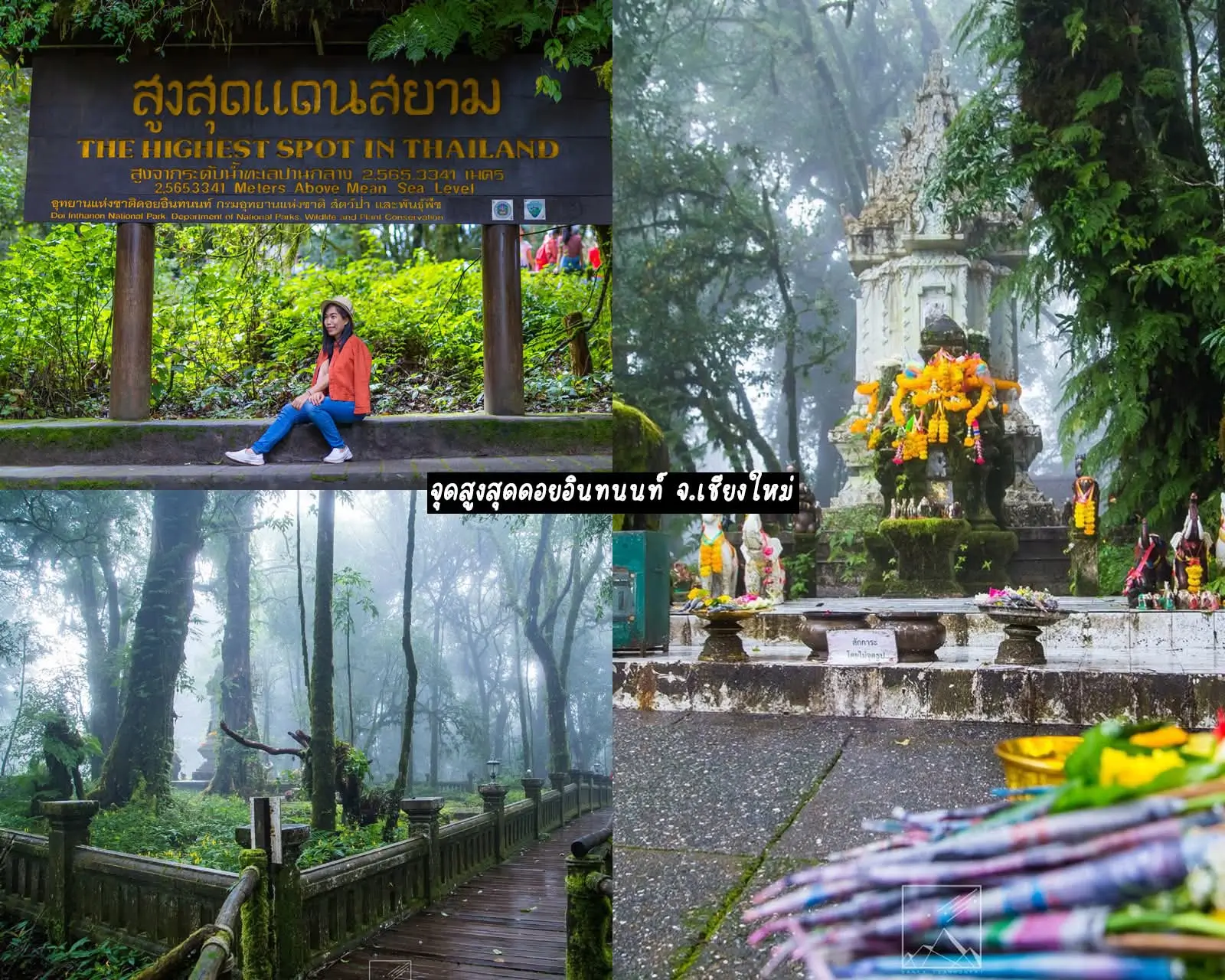 Explora Doi Inthanon en un tour de 1 día con senderos, cascada, arrozales y tribu Karen, saliendo desde Chiang Mai.