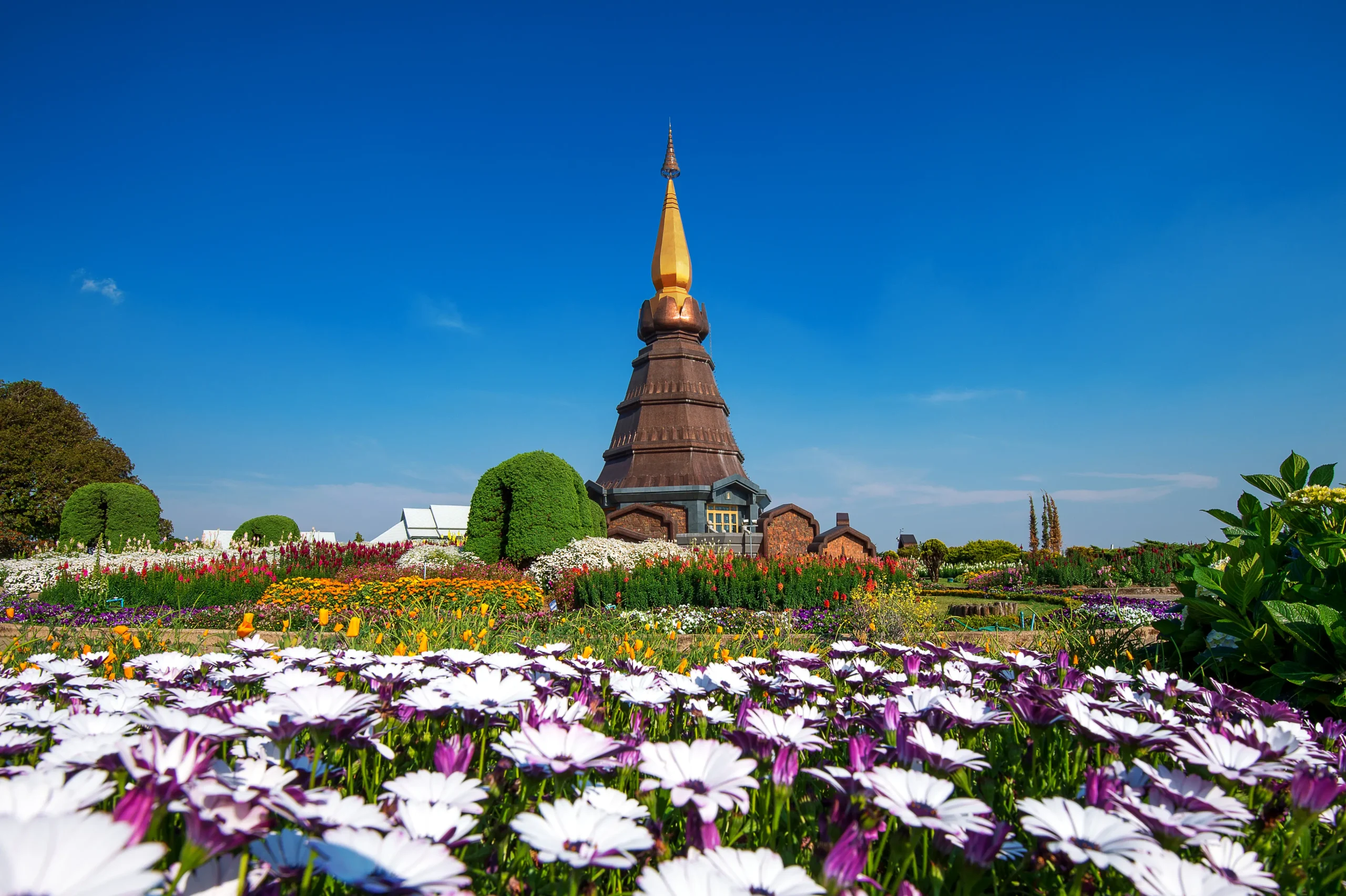 Explora Doi Inthanon en un tour de 1 día con senderos, cascada, arrozales y tribu Karen, saliendo desde Chiang Mai.